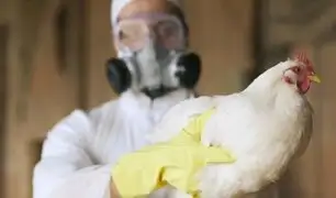 ¡De terror! Muere en México la primera persona en el mundo por gripe aviar A (H5N2)