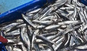 Perú es uno de los países líderes a nivel mundial en pesca de captura