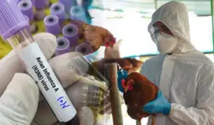 ¡Se rectifica!: OMS aclara que paciente en México no murió por gripe aviar