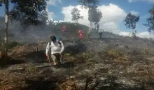Incendio forestal en Pasco arrasa con 5 hectáreas de café y árboles de pino en Villa Rica