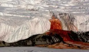 Cataratas de sangre: ¿de qué trata este gran misterio de la Antártida?
