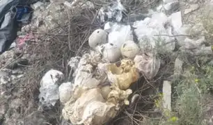 Macabro hallazgo en Arequipa: descubren 24 cráneos humanos a un costado de la carretera