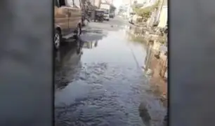 Ate: colapsa sistema de desagüe e inunda varias viviendas