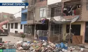 Atraían ratas y cucarachas en Comas: familia recicladora invadía calles de la urbanización Tungasuca