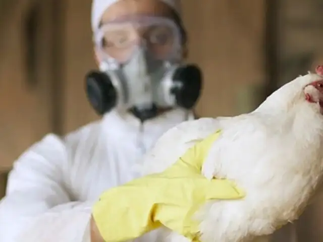 ¡De terror! Muere en México la primera persona en el mundo por gripe aviar A (H5N2)