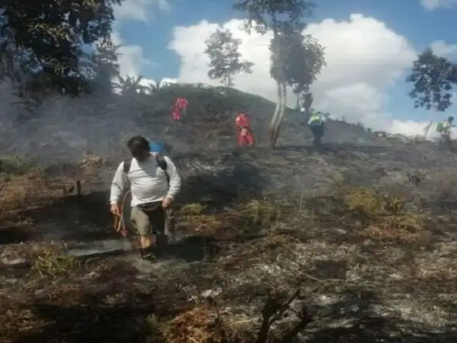 Incendio forestal en Pasco arrasa con 5 hectáreas de café y árboles de pino en Villa Rica