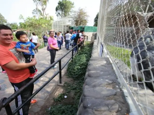 Día del Padre: 200 papás ingresarán gratis por su día en el Parque De Las Leyendas