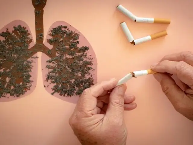 Fumar expone al cuerpo a más de 7 mil sustancias tóxicas que pueden causar hasta 20 tipos de cáncer