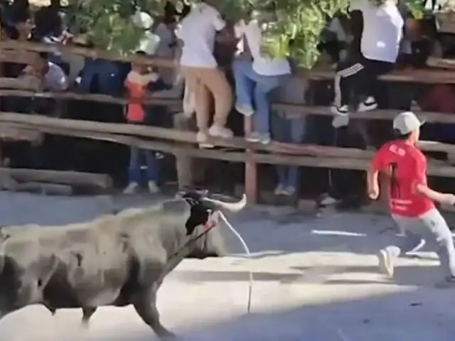 Toro escapa de coliseo y embiste a dos personas en Huancavelica