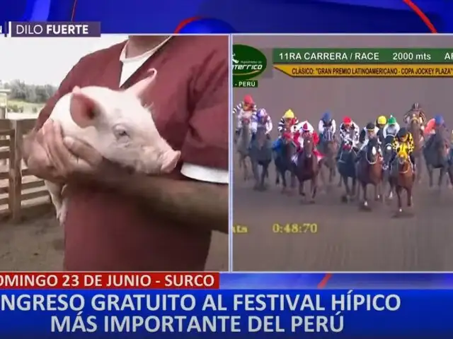 Festival Hípico en Monterrico: carrera de caballos y diversión para toda la familia gratis