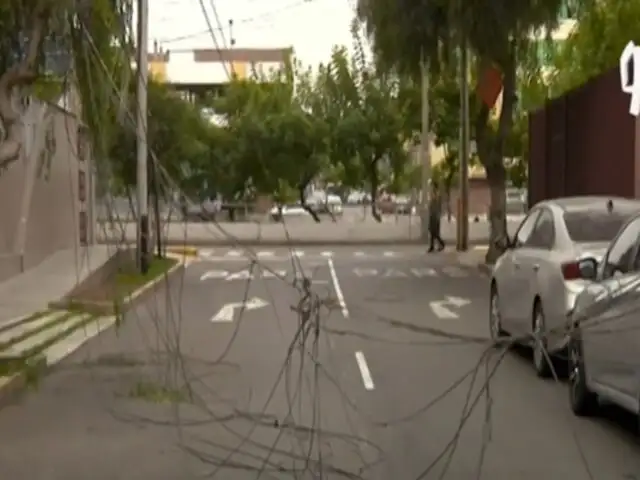 Miraflores: camión deja intransitable la calle Salaverry tras derribar cables y ramas