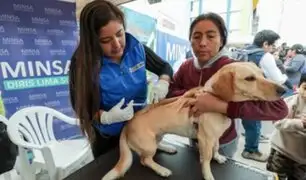Más de 3 millones de canes son vacunados en la campaña antirrábica canina “VanCan”