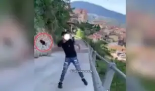 Indignación en Italia: se viraliza video de adolescente lanzando un gatito desde un puente