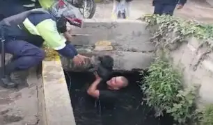 ¡Héroes sin capa! Serenos rescatan a perritos que cayeron a canal de regadío en Chorrillos