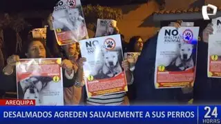 Indignación en Arequipa por la brutal agresión a tres perritos