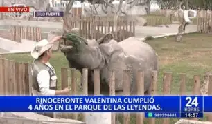 Parque de las Leyendas: Rinoceronte "Valentina" está de cumpleaños y lo celebra con miles de niños