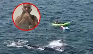 Interrumpieron una boda para salvarla: Habla uno de los buzos que rescató a ballena atrapada en red de pescar