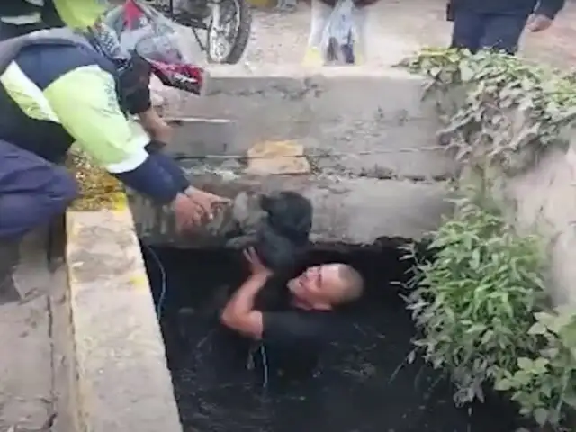 ¡Héroes sin capa! Serenos rescatan a perritos que cayeron a canal de regadío en Chorrillos