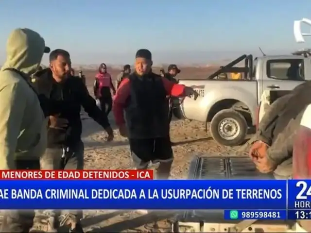 Ica: cae banda criminal dedicada a usurpación de terrenos