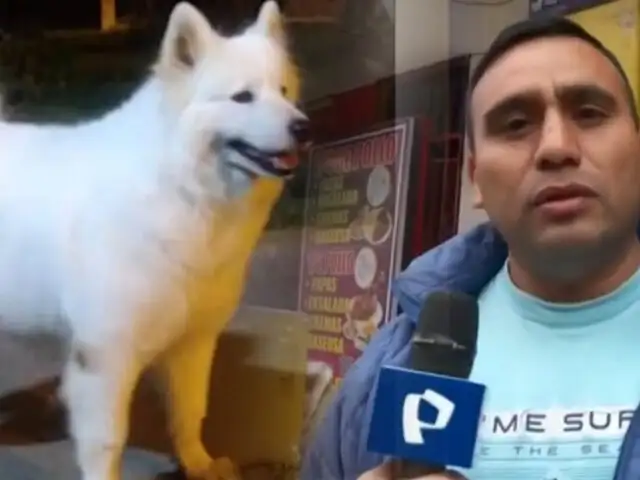 Familia denuncia que les robaron a su mascota dentro de una ferretería en SJL