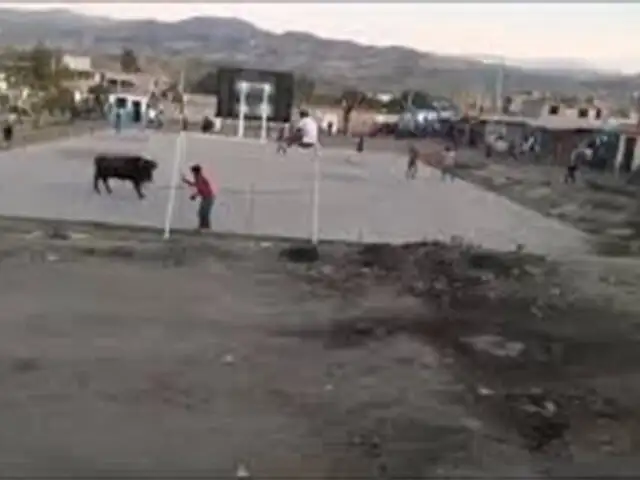 Ayacucho: trabajador grave tras sufrir ataque de un toro durante fiesta costumbrista