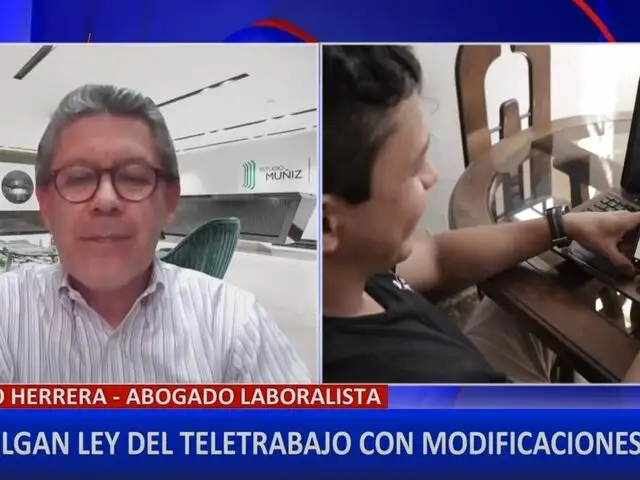 Ricardo Herrera sobre ley del teletrabajo: "La nueva norma va contra la lógica del teletrabajo”