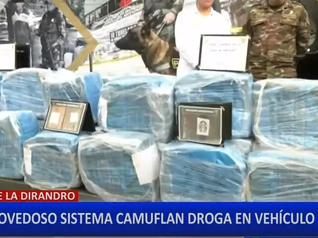 Dirandro incauta más de 400 kilos de droga en vehículo de carga