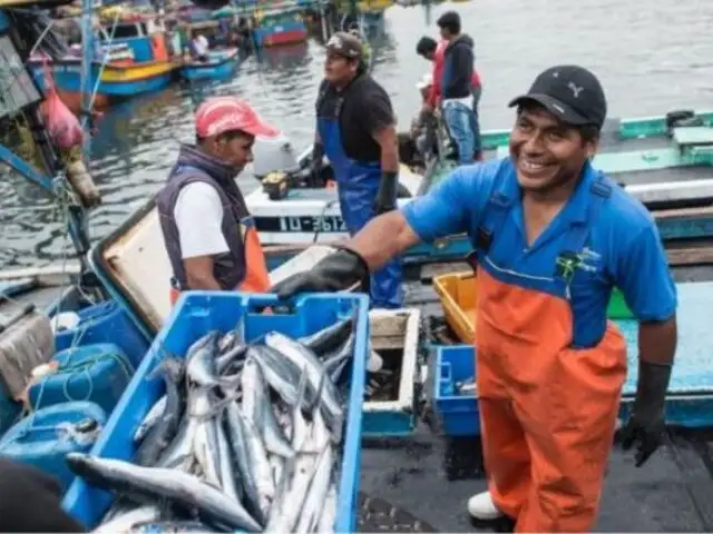 ¿Cómo identificar pescado fresco?: 6 características clave para hacer una compra segura
