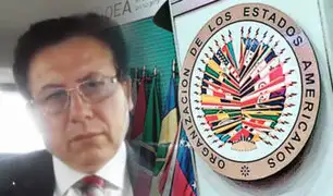 Rodríguez Mackay sobre la OEA: “La abstención los hace cómplices de la dictadura de Maduro”