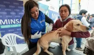 Más de 3 millones de perros serán vacunados a nivel nacional: conoce todos los detalles de la VanCan 2024