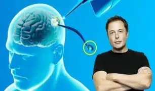 Elon Musk aboga por chips cerebrales para equilibrar el poder entre humanos y IA