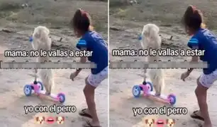 Viral en redes: perrito "conduce" scooter al lado de su dueña y conquista corazones