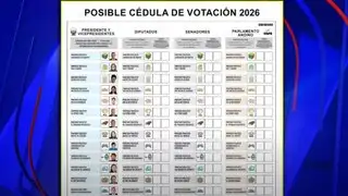 Elecciones 2026: cédula electoral superaría los 60 cm de largo por la cantidad de partidos