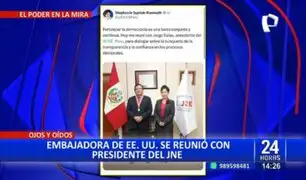 Jorge Salas Arenas: presidente del JNE se reúne con embajadara de EE.UU