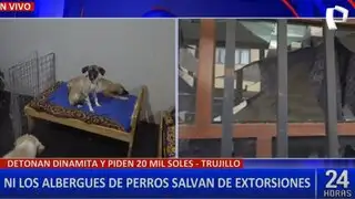 Trujillo: extorsionadores detonan dinamita en albergue para perros exigiendo 20 mil soles