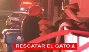 Viral: Hombre ruega a bomberos que salven a su gato durante incendio en su hogar