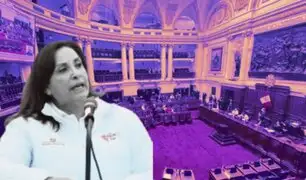 Dina Boluarte se reunirá con bancadas políticas del Congreso desde hoy: este es el cronograma