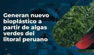 ¡Avance significativo! Generan nuevo bioplástico a partir de algas verdes del litoral peruano