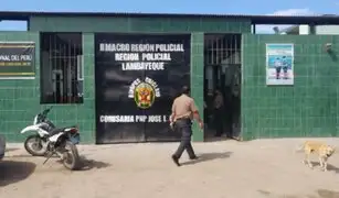 Chiclayo: policía mata a perrito solo porque se puso a ladrar