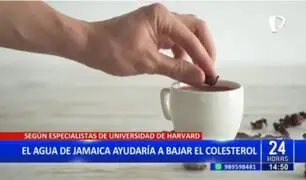 Agua de Jamaica ayudaría a bajar el colesterol, según especialistas de Estados Unidos