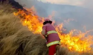 Incendios forestales: sigue estas recomendaciones preventivas del sector Ambiente