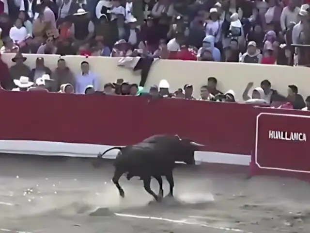 Sangrientos ataques: Corridas de toros en Ayacucho, Áncash y Huánuco terminan en tragedia