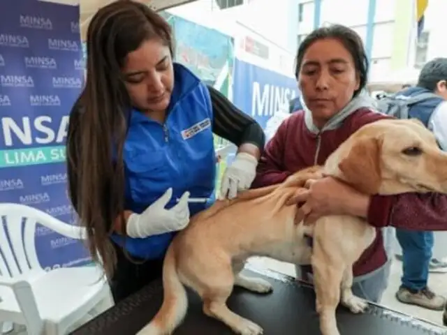 Más de 3 millones de perros serán vacunados a nivel nacional: conoce todos los detalles de la VanCan 2024