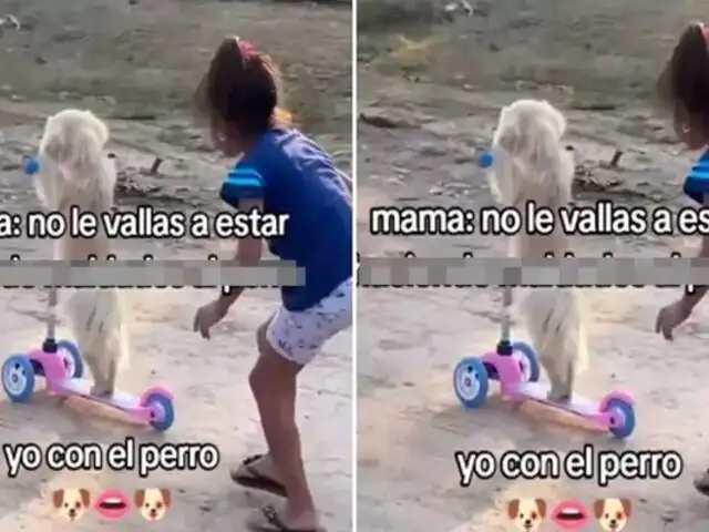 Viral en redes: perrito "conduce" scooter al lado de su dueña y conquista corazones