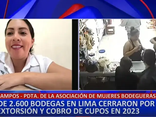 Bodegas en crisis por incremento de la delincuencia en Lima