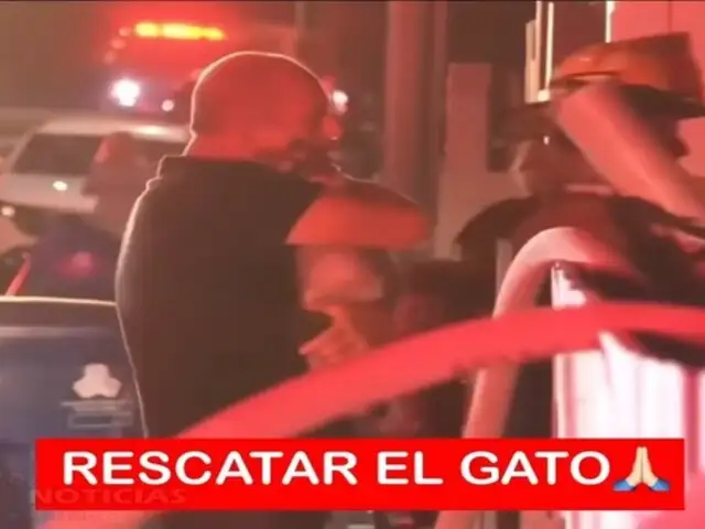 Viral: Hombre ruega a bomberos que salven a su gato durante incendio en su hogar