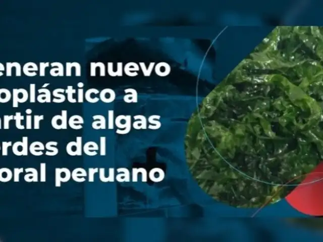 ¡Avance significativo! Generan nuevo bioplástico a partir de algas verdes del litoral peruano