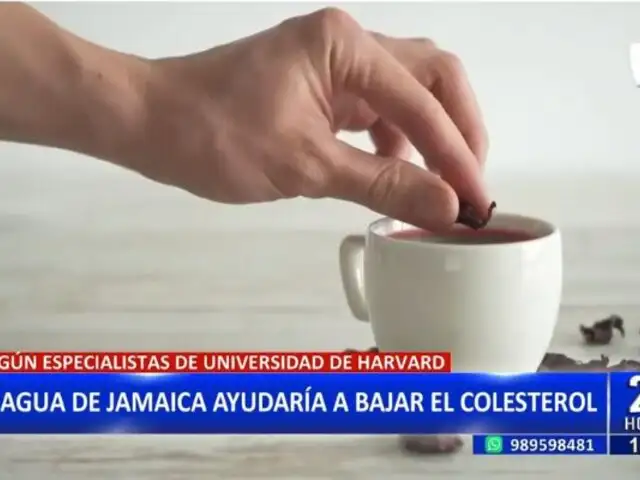 Agua de Jamaica ayudaría a bajar el colesterol, según especialistas de Estados Unidos