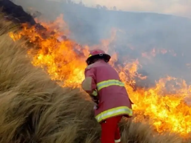 Dina Boluarte: Se ha logrado controlar más del 60 % de los incendios forestales en regiones