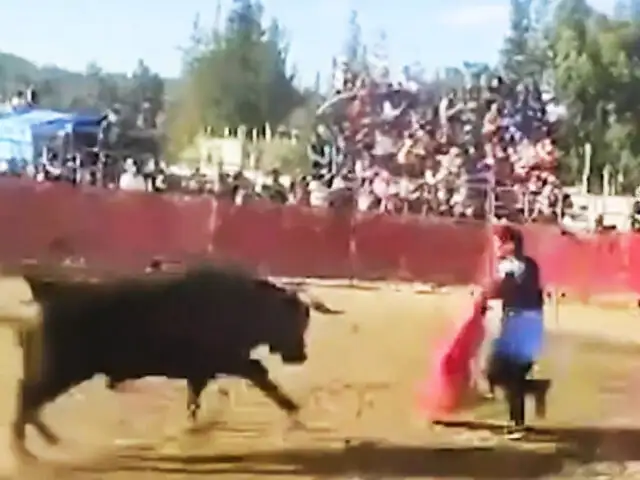 ¡Imágenes impactantes!: Toro hace “volar” a espectador que entró a ruedo en Ayacucho